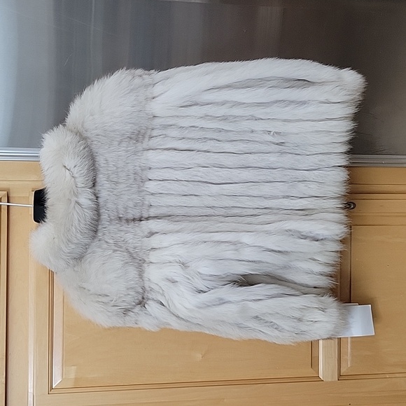 Saga Blue Fox - Picture 9 of 9